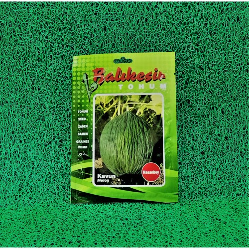 KAVUN ( HASANBEY ) TOHUMU 10GR